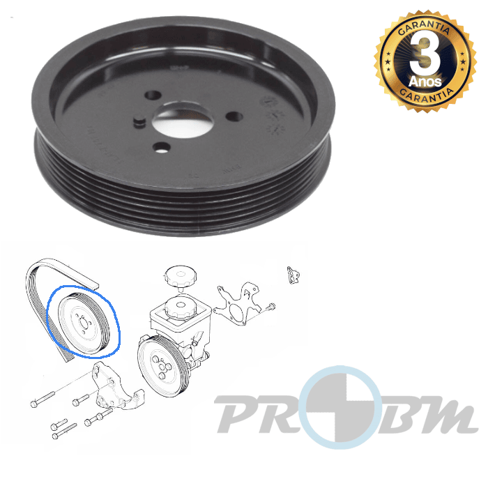 Polia Bomba Direcçao Assistida BMW E46,E60,E61,E63,E64,E65,E83,E53